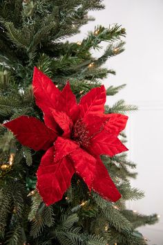 a red poinsettia on top of a christmas tree