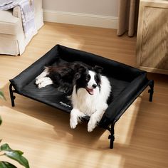 a black and white dog laying in a pet bed on the floor next to a plant