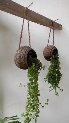 two hanging planters filled with green plants