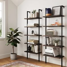 a living room with a rug, bookshelf and potted plant on the floor