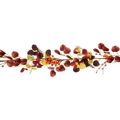 red and yellow flowers are arranged on a white background