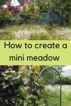 an image of how to create a mini meadow in your backyard or garden with flowers and vines