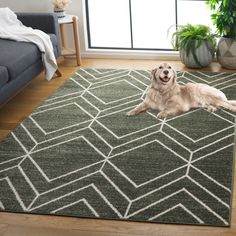 a large dog laying on top of a rug in a living room