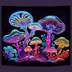 colorful mushrooms glow in the dark on a black background with purple and blue hues