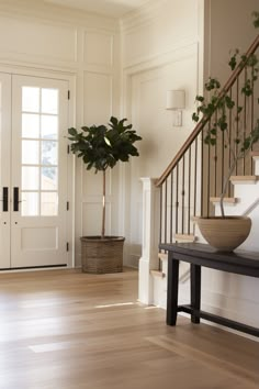 a plant in a pot on the ground next to a stair case with glass doors