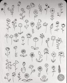 an image of flowers drawn in black and white