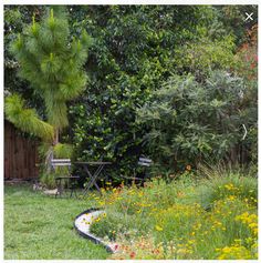 the garden is full of flowers and plants