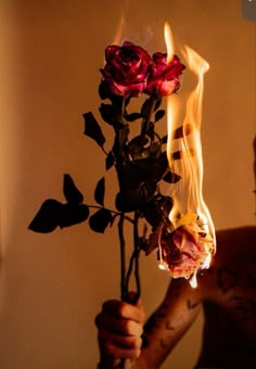 a person holding a bouquet of roses with flames coming out of the stems on them