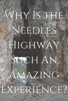 a tunnel with the words why is the needles highway soch an amazing experience?