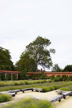 an empty park with benches and plants in the foreground