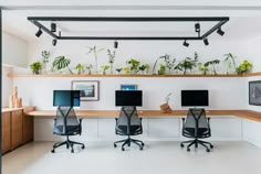 an office with three computer screens and plants on the wall above them, along with two desks