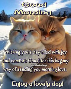 two cats hugging each other with the caption good morning wishing you a day filled with joy and comfort consider this hug my way of sending you morning love