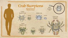 an image of crab scorpions in different colors and sizes on parchment paper with man's silhouette next to them