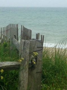 a wooden fence sitting on top of a lush green field next to the ocean and beach