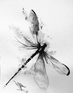 a black and white drawing of a dragonfly