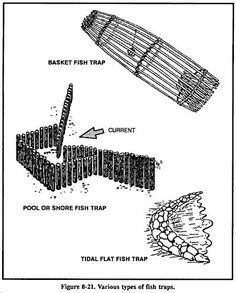 the diagram shows different types of fish traps