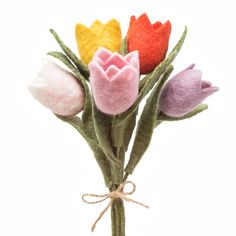 three different colored tulips in a vase on a white background with twine