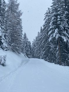 a snow covered road surrounded by pine trees