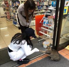 a woman is petting a cat in the store