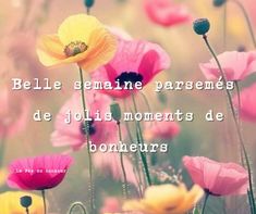 some pink and yellow flowers with a quote on the bottom that says,'belle semaine parsemes de jolis moments de bonneurs