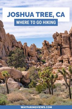 Joshua Tree California, Where to go hiking Joshua Tree Hikes, Tree Activities, California Vacation Ideas, Two Tickets To Paradise, California Road Trip Itinerary, California State Parks, California Attractions, Joshua Tree House, California Outdoor