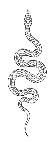 a drawing of a snake on a white background