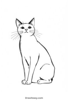 The image shows a simple black outline drawing of a sitting cat with alert ears, a calm expression, and detailed whiskers, sketched in a minimalistic style on a white background. Black Outline Drawings Aesthetic, Kittens Playing Drawing, Sitting Cat Drawing, Drawing Ideas For Stickers, Simple Aesthetic Drawing Ideas, Cat Sketch Easy, Cat Sitting Drawing, Aesthetic Drawing Sketches, Simple Cat Drawings