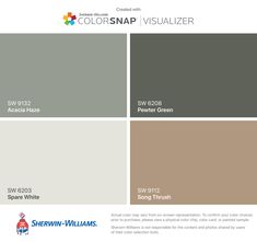 the color scheme for colorsnap visualizer, which is available in several different colors