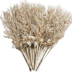 dried flowers are arranged in a vase on a white background