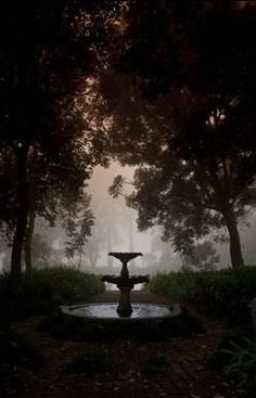 a fountain in the middle of a forest