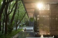 the sun shines brightly through the trees in front of an outdoor area with a water feature