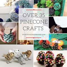 over 35 pinecone crafts are featured in this collage, including pine cones and birds