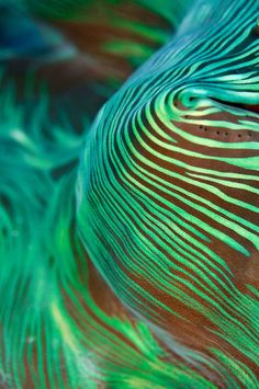 a close up view of a green and blue feather pattern on a surface that looks like it has been painted