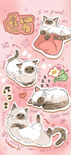 the cat stickers are all different colors and sizes