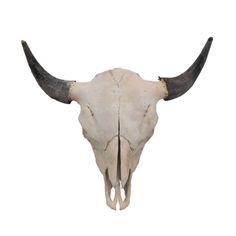 an animal's skull with long horns on a white background is seen in this image