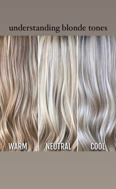 Neutral Brown Blonde Hair, Yellow Blonde To Icy Blonde, Lowlights In White Hair, Neutral Blonde Curly Hair, Medium Length Icy Blonde Balayage, Ash Blonde Grey Blending, Blonde To Grey Hair Transformation, Blonde Highlights 2024 Trends, Blonde Shades For Fair Skin