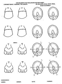 the diagram shows how bras can be used for different types of bras, from top to bottom