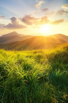 the sun shines brightly over mountains and grass