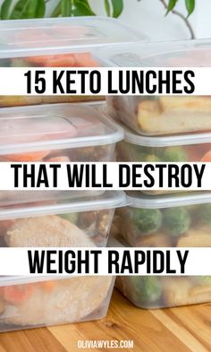 plastic containers filled with food on top of a wooden table next to a plant and text that reads, 15 keto lunches that will destroy weight rapidly