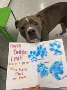 a dog is holding up a birthday card