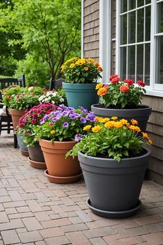 several potted plants on the side of a house with flowers growing out of them