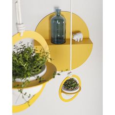 two hanging planters with plants in them on the wall next to a bottle and candle holder