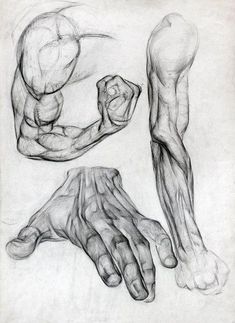 three different views of the hands and arm in graphite on paper, each with an individual's hand holding something