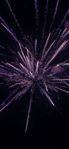 fireworks are lit up in the night sky