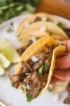 Carne Asada Street Tacos and VIDEO- Eating on a Dime Street Taco Recipe, Carne Asada Recipes, Asada Tacos, Carne Asada Tacos, Frijoles Refritos, Steak Tacos, Crock Pot Recipes, Street Tacos, Mexican Food Recipes Easy