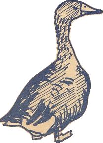 a drawing of a duck on a white background