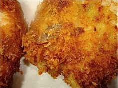 two pieces of fried food sitting on top of a white plate