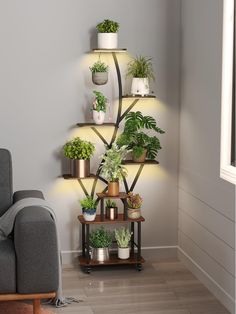 a living room filled with lots of potted plants