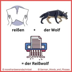 an image of german words and pictures with animals in the middle one has a wolf on it's back