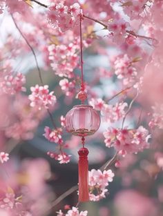 pink flowers are blooming in the background with a glass lantern hanging from it's branch